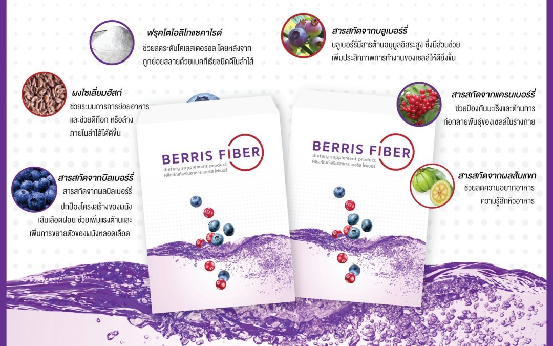 ป้าย Ads แบนเนอร์ Berris Fiber