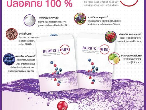 ป้าย Ads แบนเนอร์ Berris Fiber