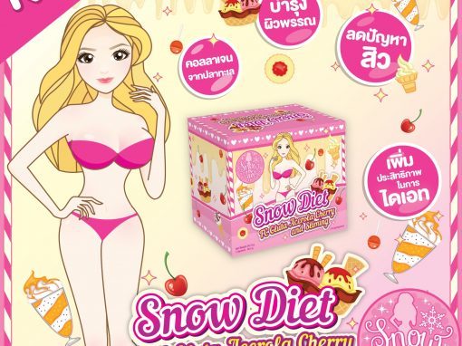 ป้าย Ads แบนเนอร์ Snow Diet