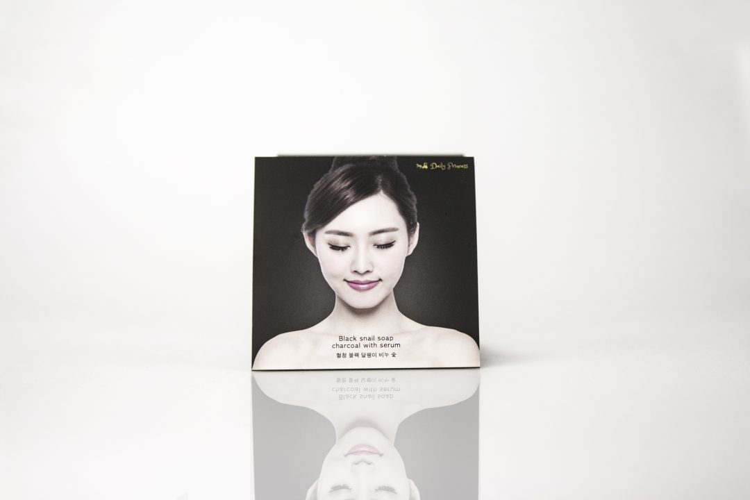 โบรชัวร์ (brochure)Diary Princess