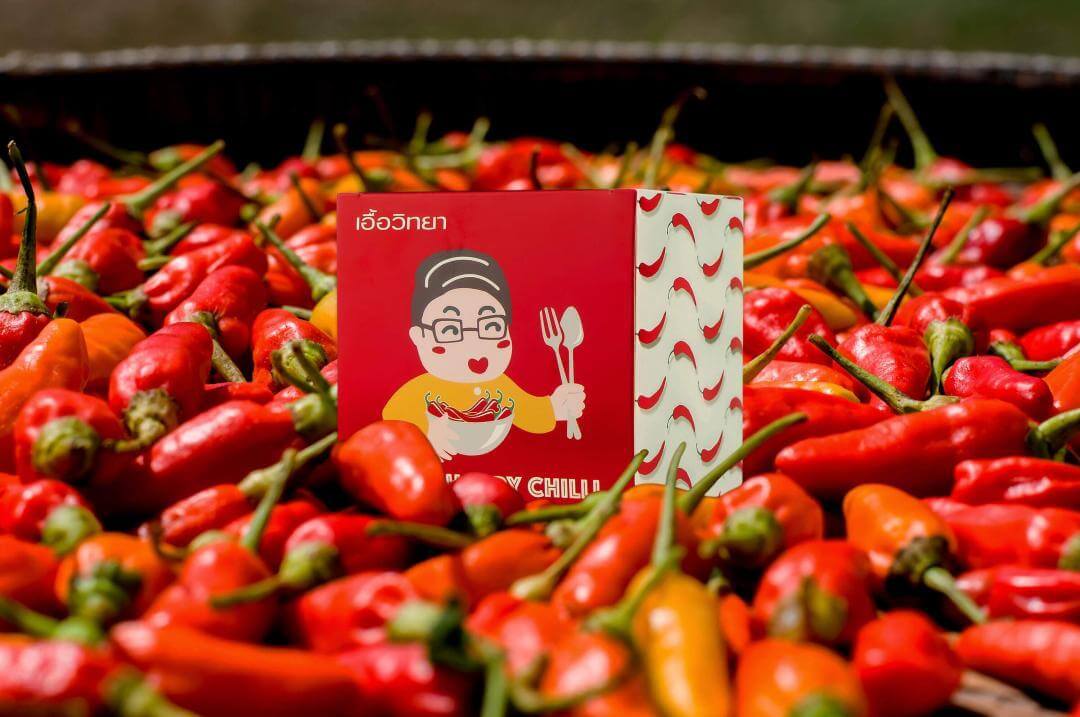 กล่องอาหาร(package)PATUK HAPPY CHILLI